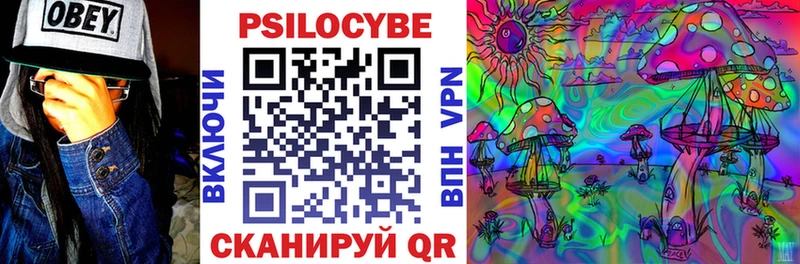 Галлюциногенные грибы прущие грибы  где купить наркоту  Перевоз 